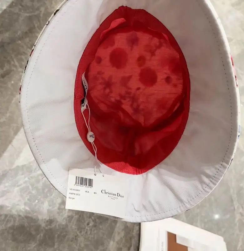 Dior hat 19 (22)